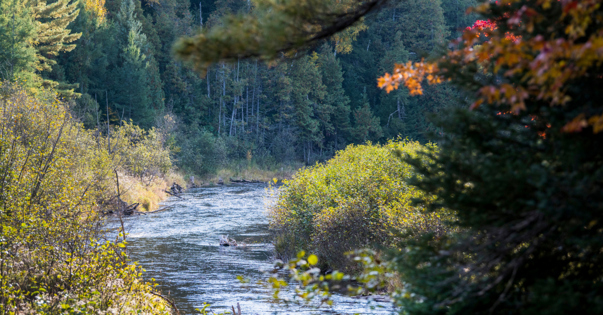 Brown Bridge Quiet Area Expansion City of Traverse City